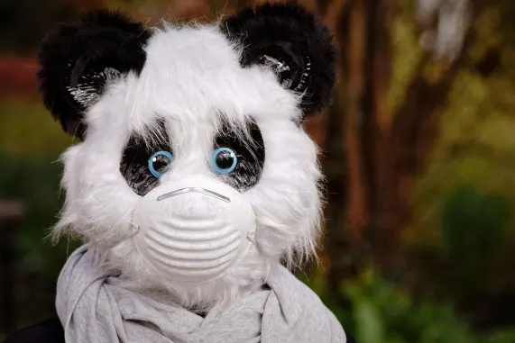 Casino Eight Storm Soporte